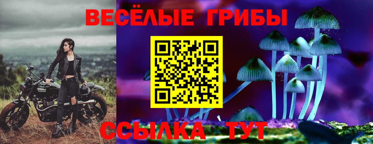 Псилоцибиновые грибы мухоморы Туймазы